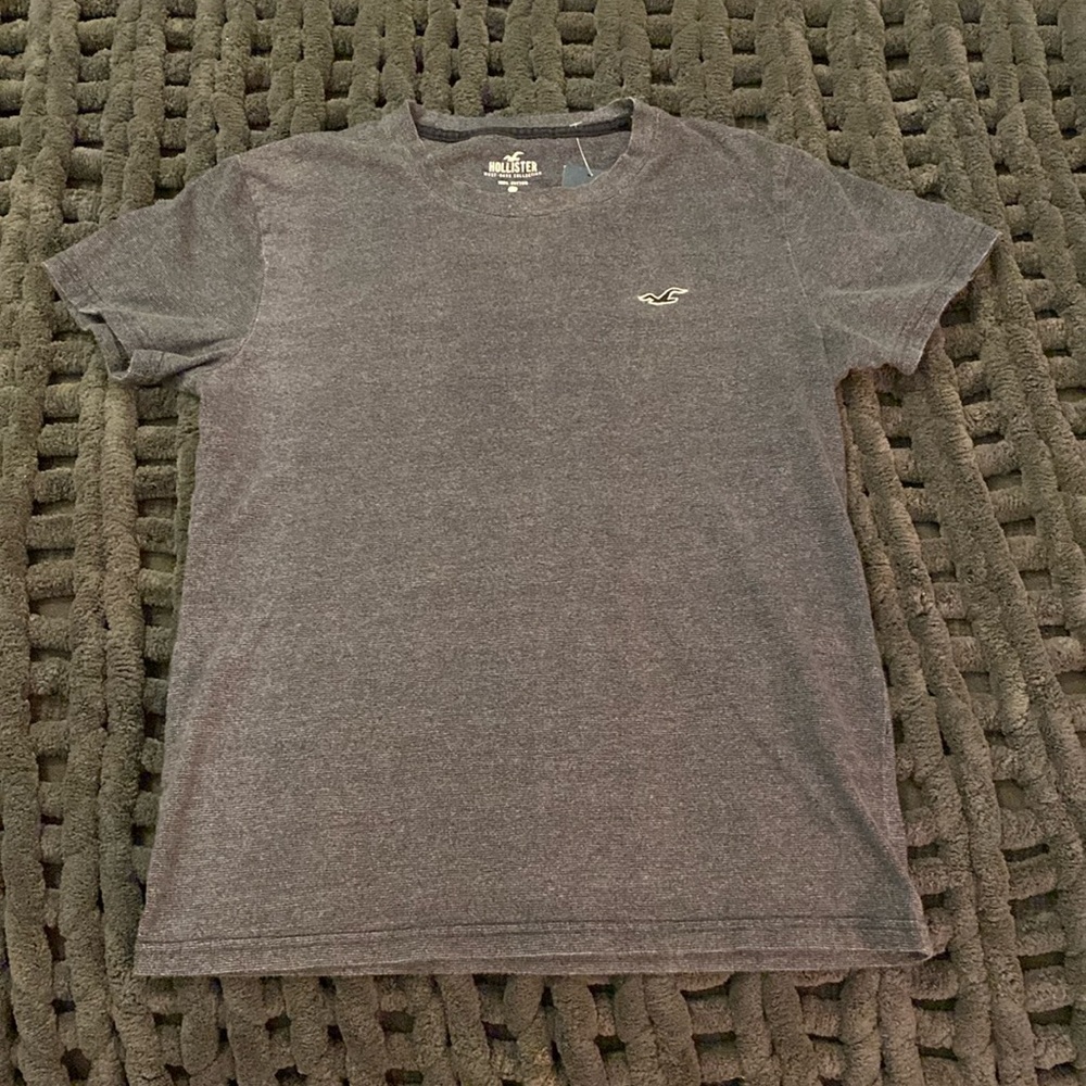 NWT Mens Hollister tee